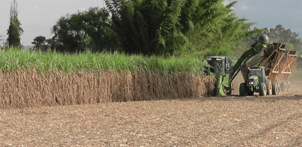 No todo es soja: las exportaciones marcaron un récord histórico y cumplieron con todos los cupos&nbsp;internacionales