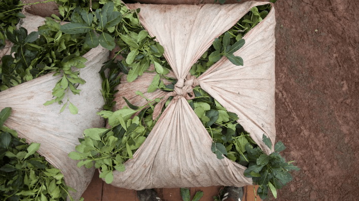 Yerba mate: Misiones propone una “pizarra” de referencia para sostener el precio de la hoja&nbsp;verde