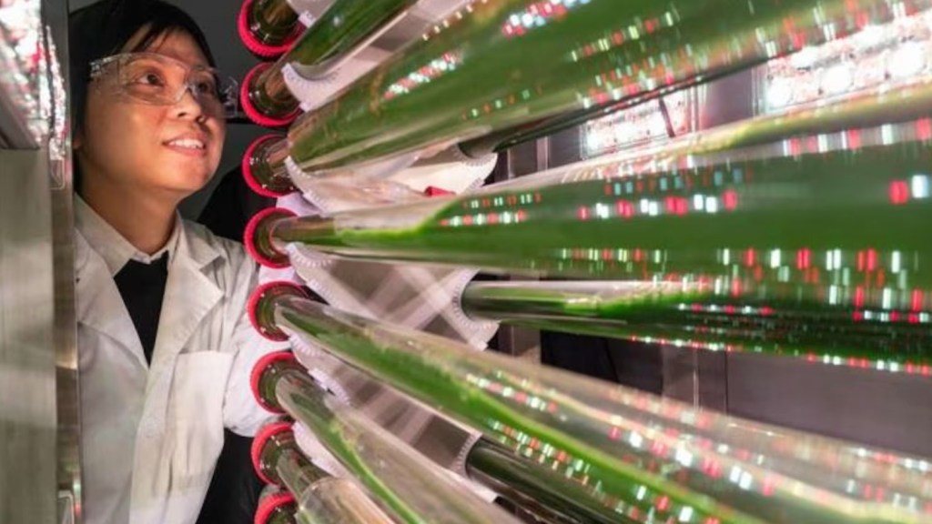 Un avance científico sin precedentes promete limpiar las fuentes hídricas de contaminación&nbsp;plástica