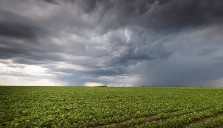 Lluvias extremas de hasta 200 mm en seis horas afectaron a una región agrícola y generan alerta por nuevas&nbsp;tormentas