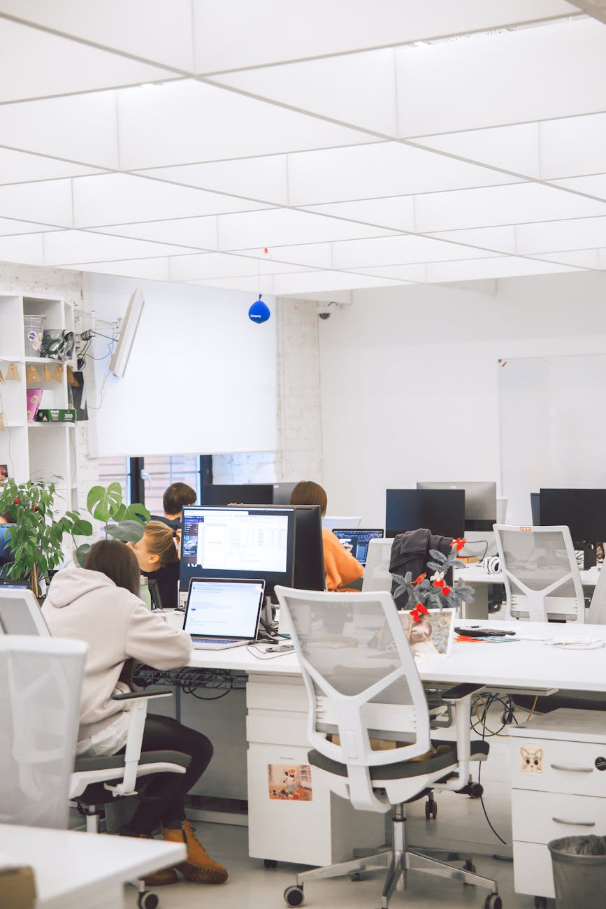 Innovación o desaparición: cómo el e-commerce salvó empresas&nbsp;argentinas