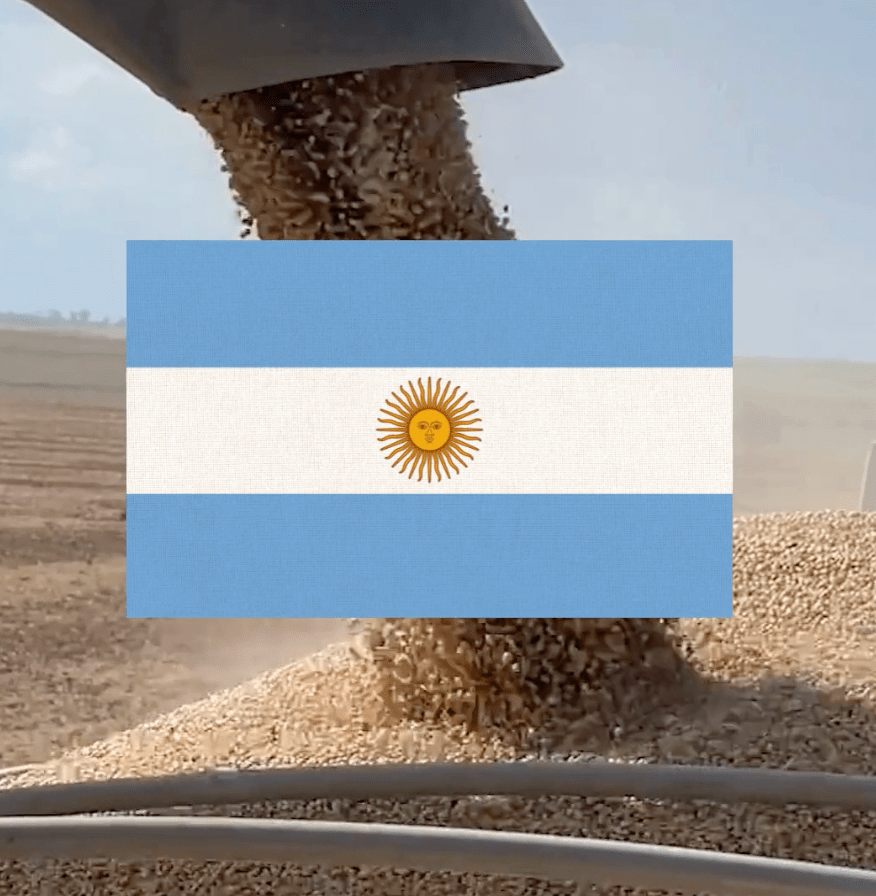 La soja aportará más de USD 21.000 millones a la economía&nbsp;argentina