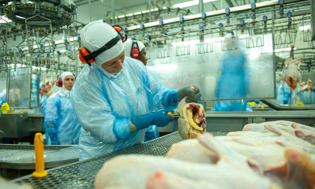 Argentina recuperó el mercado de Corea del Sur para exportar carne aviar