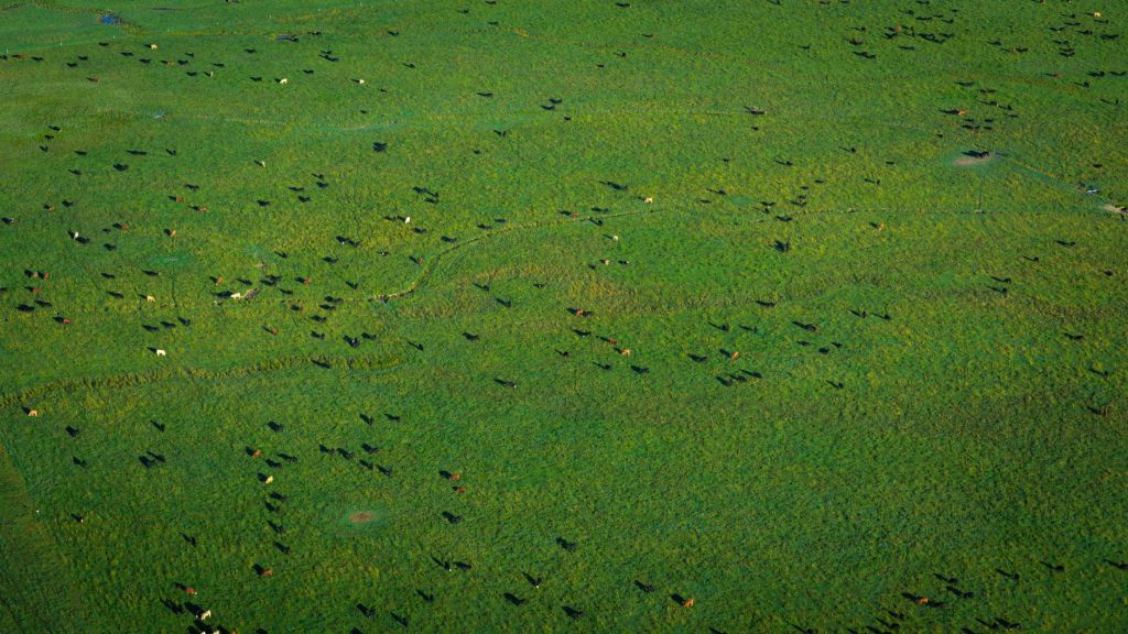 Corrientes lanza financiamiento agropecuario con tasa&nbsp;subsidiada